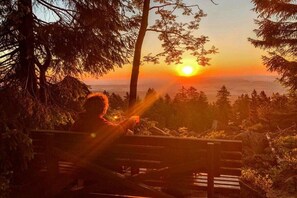 A person sitting on a bench facing a sunset with trees in the foreground.