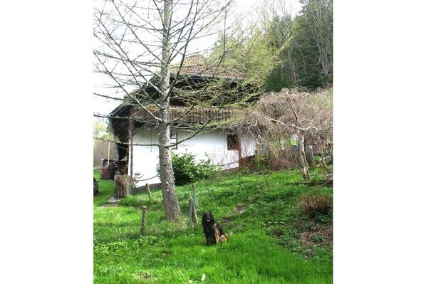 Unclassified image, 1 of 19, button - Holiday home Christine (Kleines Wiesental)