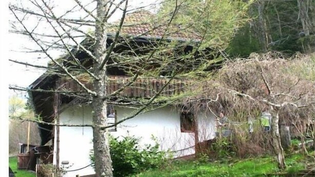Property grounds - Holiday home Christine (Kleines Wiesental)