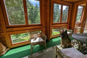 Interior d'una cabana de fusta amb finestres grans, mobles de vimetga i un gos.