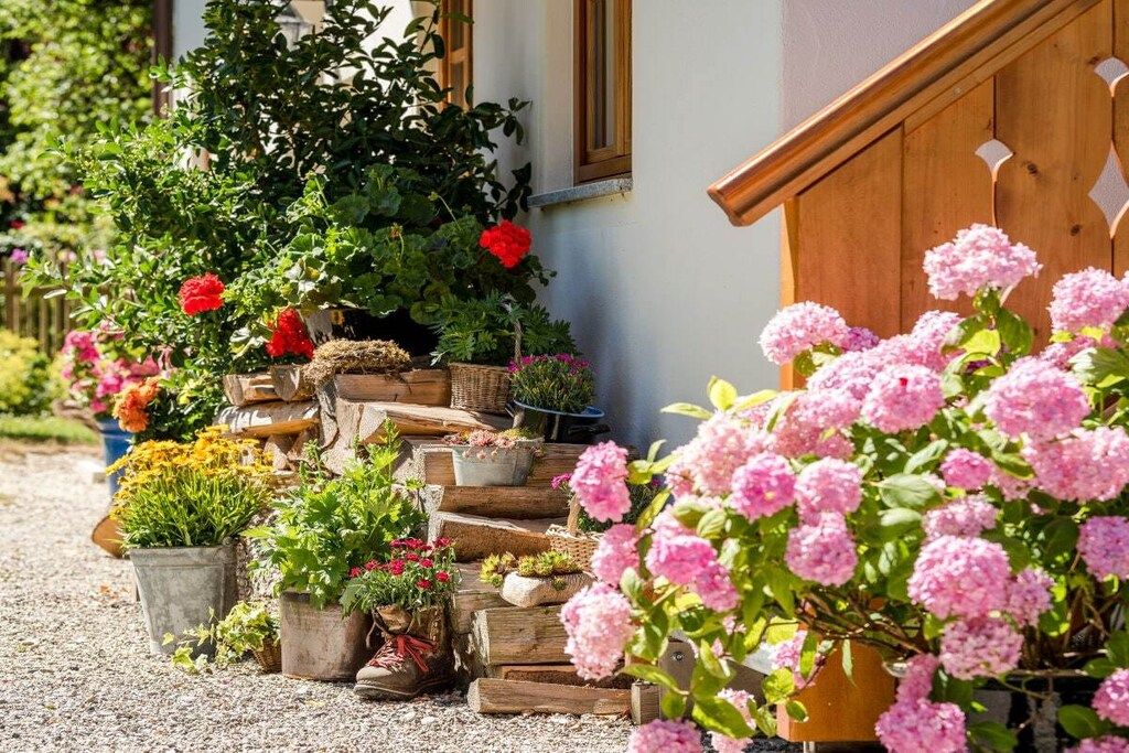 Un jardín con diversas macetas y flores frente a un edificio.