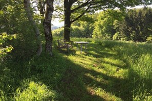 A natural outdoor setting with a bench and a table, surrounded by trees and grass. - 2 Alpenblick - Steineckhof (Schopfheim)