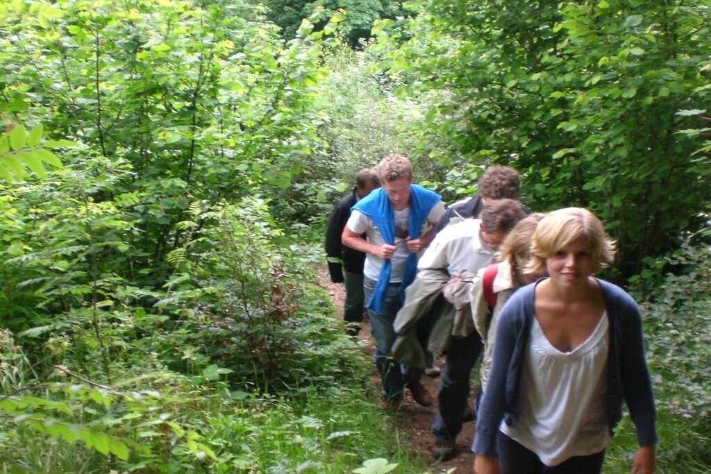 Un grupo de personas caminando por un área boscosa.