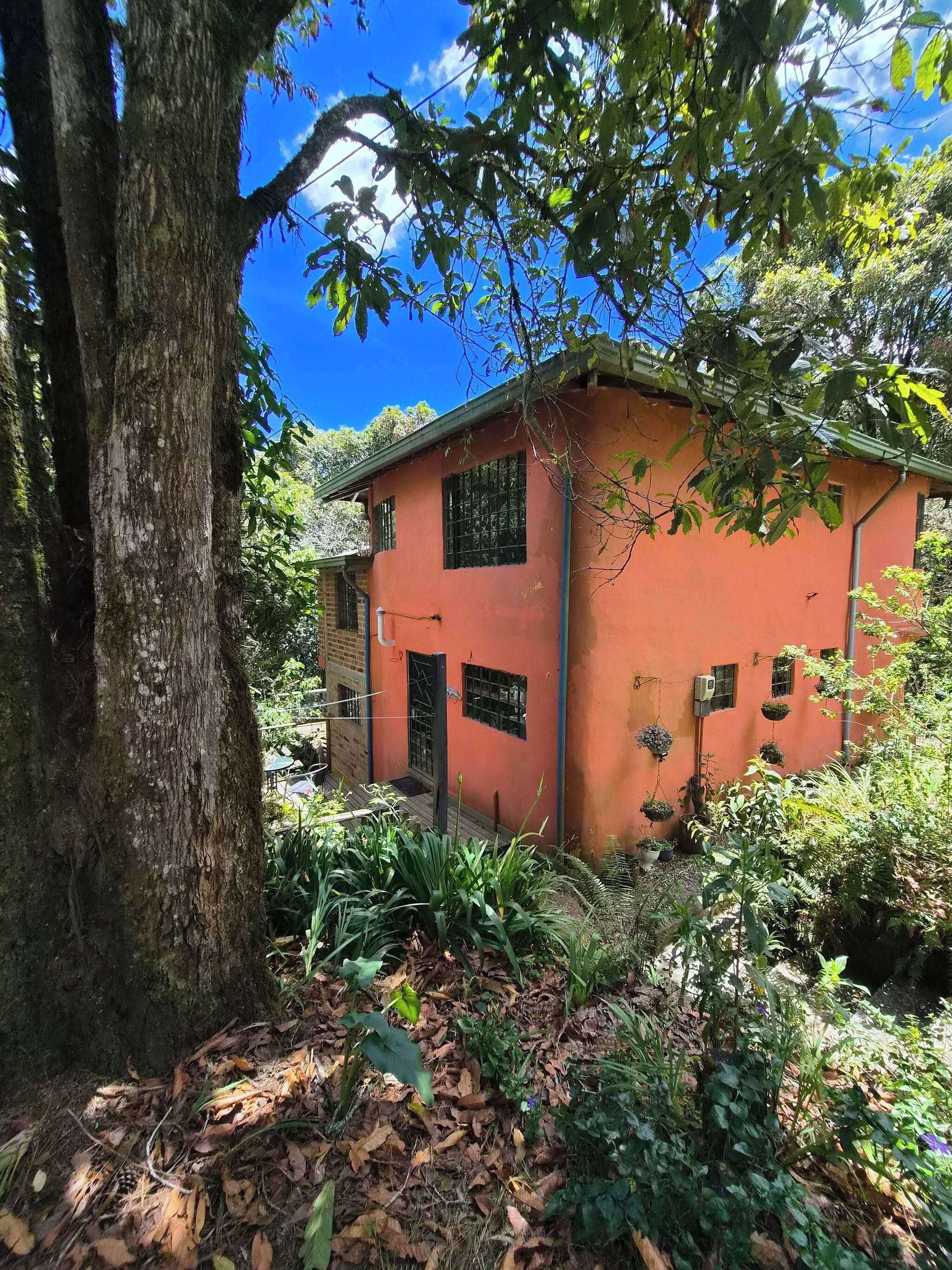 A building with a red exterior, surrounded by dense foliage and a large tree.