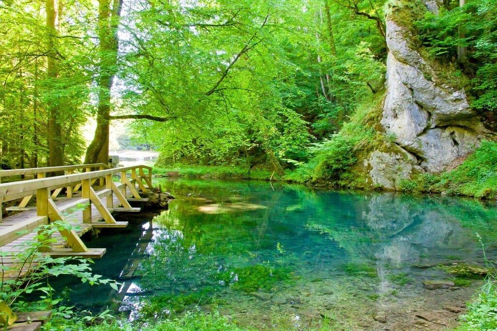 Eine hölzerne Brücke über einem klaren Bach, umgeben von üppigem Grün und einer felsigen Klippe.