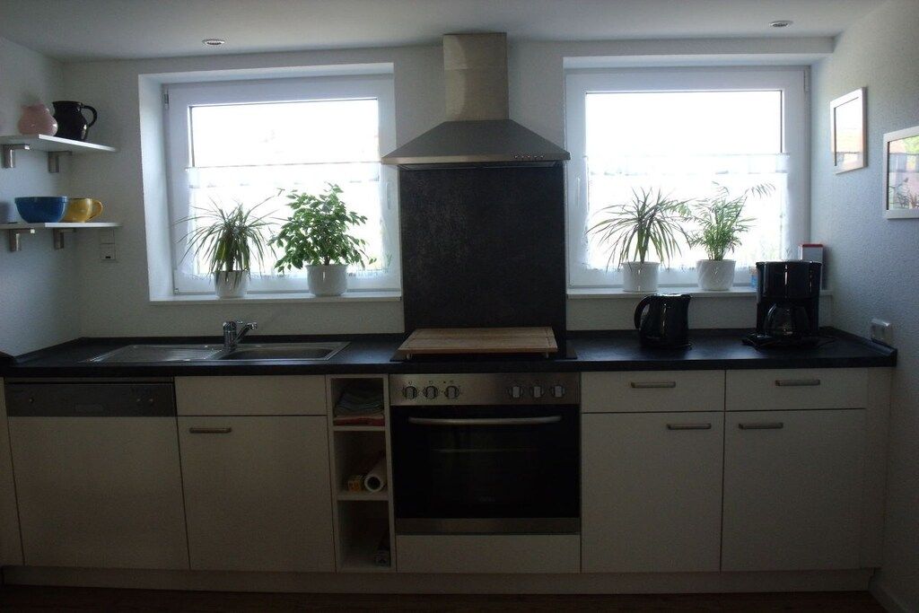 A kitchen with a dishwasher, oven, and a window with potted plants.