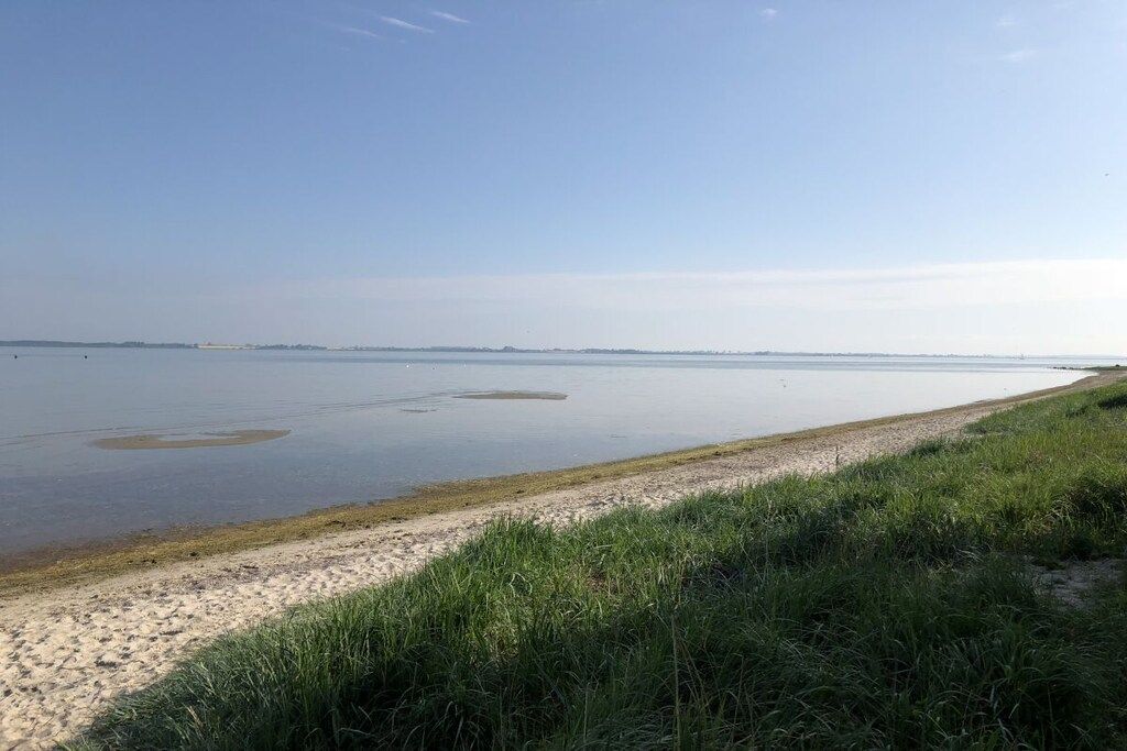 A beach with a sandy shore and calm water.