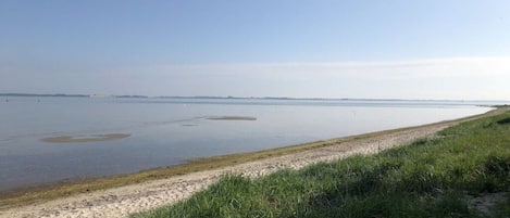 A beach with a sandy shore and calm water.