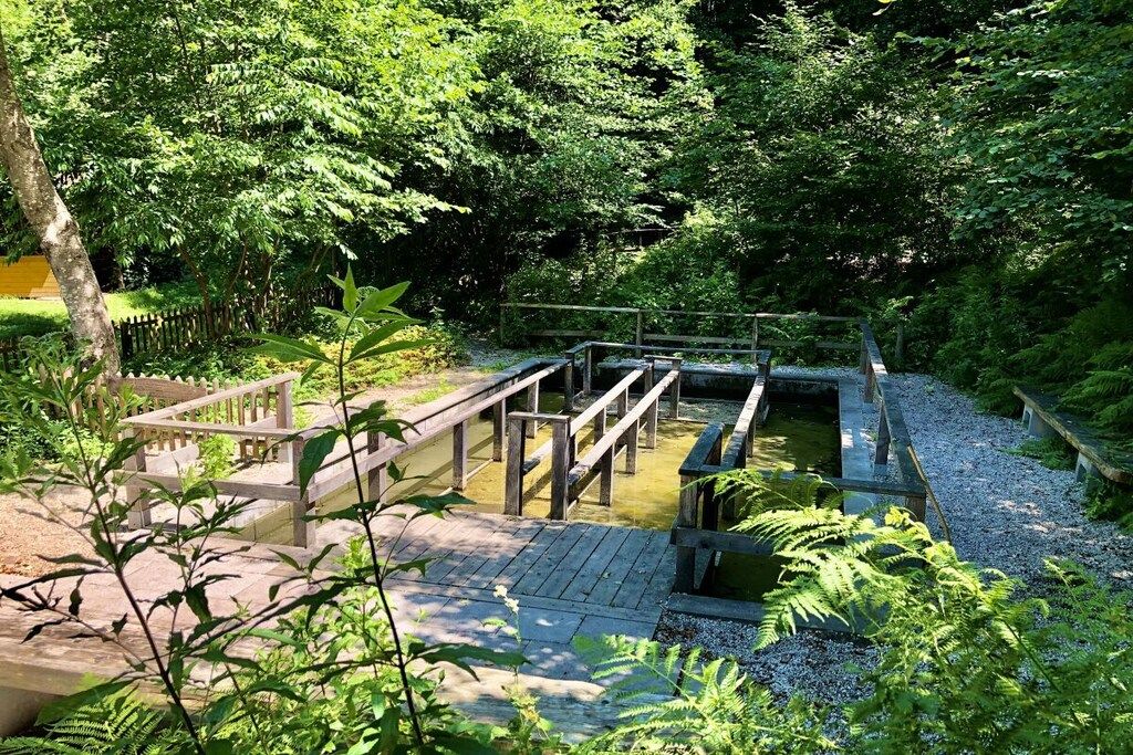 A wooden bridge over a pond in a forested area with a wooden deck and railings.