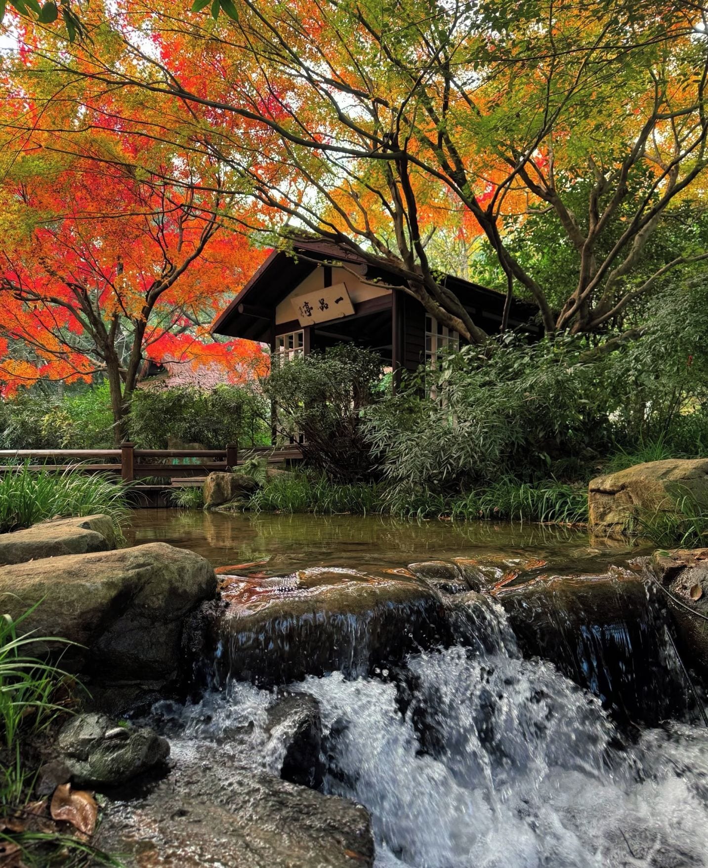 A traditional Japanese-style building with a wooden structure and a thatched roof, surrounded by autumn foliage and a small waterfall.