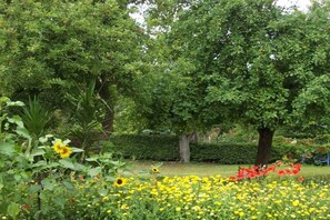 A garden with various flowers and trees. - Holiday apartment with 2 bedrooms (Wölpinghausen)