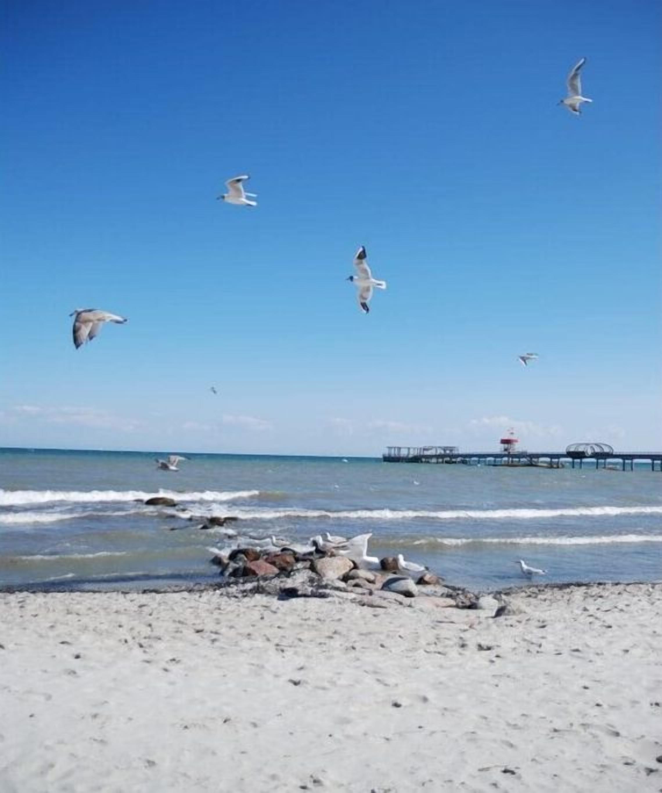 Strand