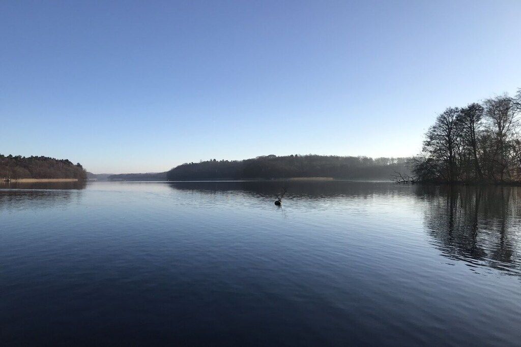 Un lago tranquilo con cielo despejado y una orilla distante.