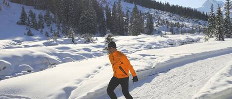 A person skiing on a snow-covered slope with trees and mountains in the background.