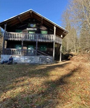 Exterior - Holiday apartment in Mauth with sauna (Mauth)