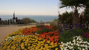 A beach with a flower garden, a palm tree, and a view of the sea. - Sauer with lake and alpine views (Immenstaad am Bodensee)