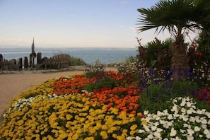 Una playa con un jardín de flores, una palmera y vista al mar.