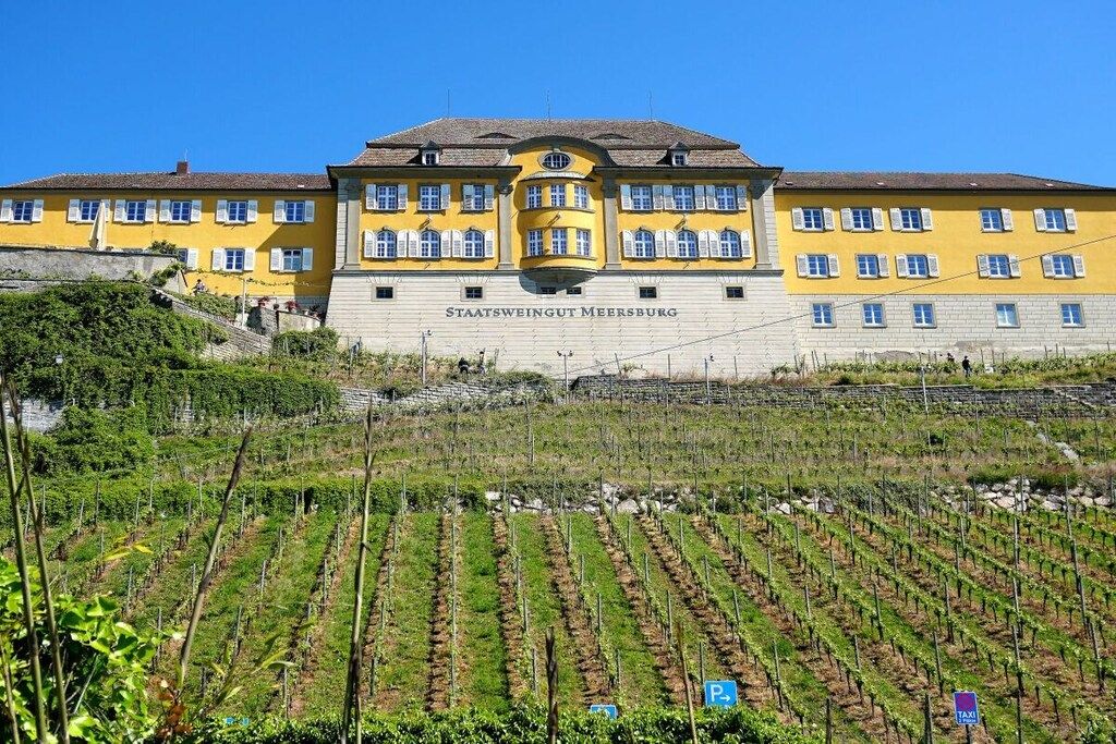 Un edificio amarillo grande con el nombre 'Staatsweingut Meersburg' en su fachada, rodeado de filas de viñedos.
