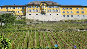 A large yellow building with the name 'Staatsweingut Meersburg' on its facade, surrounded by vineyard rows. - Sauer with lake and alpine views (Immenstaad am Bodensee)