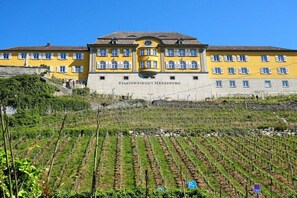 Un edificio amarillo grande con el nombre 'Staatsweingut Meersburg' en su fachada, rodeado de filas de viñedos.