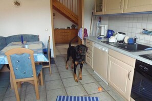 Eine Küche mit Esstisch, Stühlen, einem Hund und einer Treppe, die in einen anderen Raum führt.