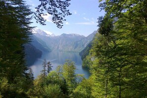 Eine Berglandschaft mit einem See, umgeben von dichtem Wald.