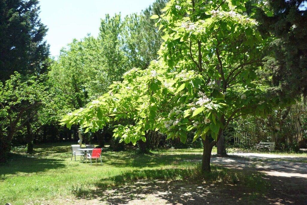 A park with a tree, a bench, and a sign.