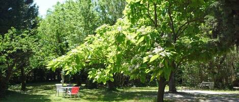 A park with a tree, a bench, and a sign.