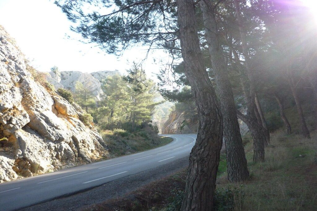 Eine kurvenreiche Straße durch bewaldetes Gelände mit felsigem Untergrund auf der einen Seite und Bäumen auf der anderen.