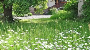 A grassy area with white flowers, a tree, and a building in the background. - Holiday apartment with 5 bedrooms (Lauterbach)
