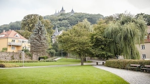 Un parque con un sendero, bancos y árboles.