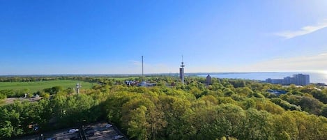 A parking lot with several cars, surrounded by dense green trees and a clear blue sky.