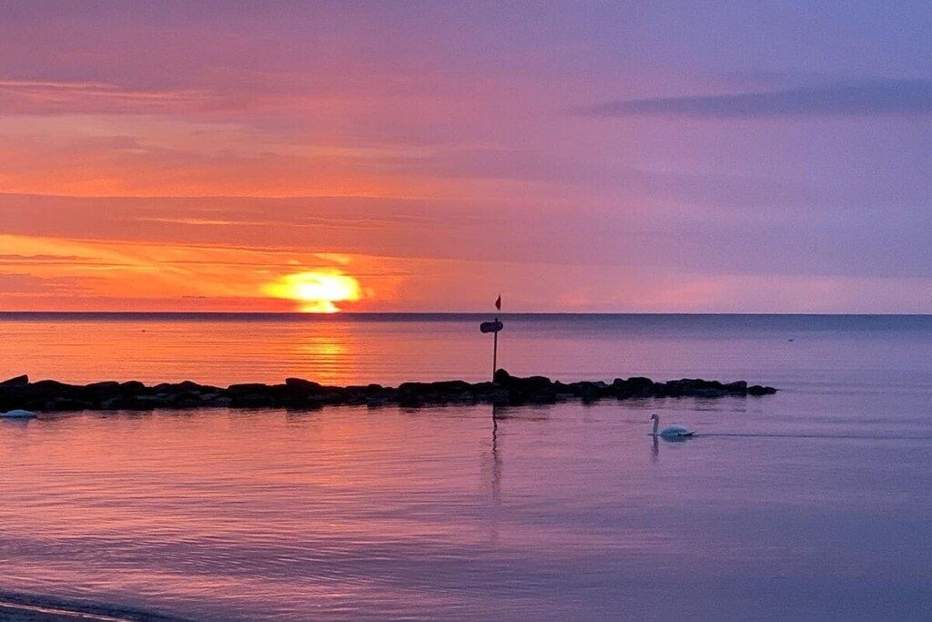 Una masa de agua tranquila con un atardecer, un cisne y una pequeña isla con rocas.
