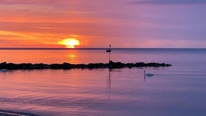 Una masa de agua tranquila con un atardecer, un cisne y una pequeña isla con rocas.