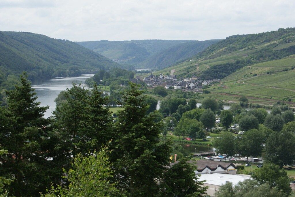 A riverside town with houses and greenery.