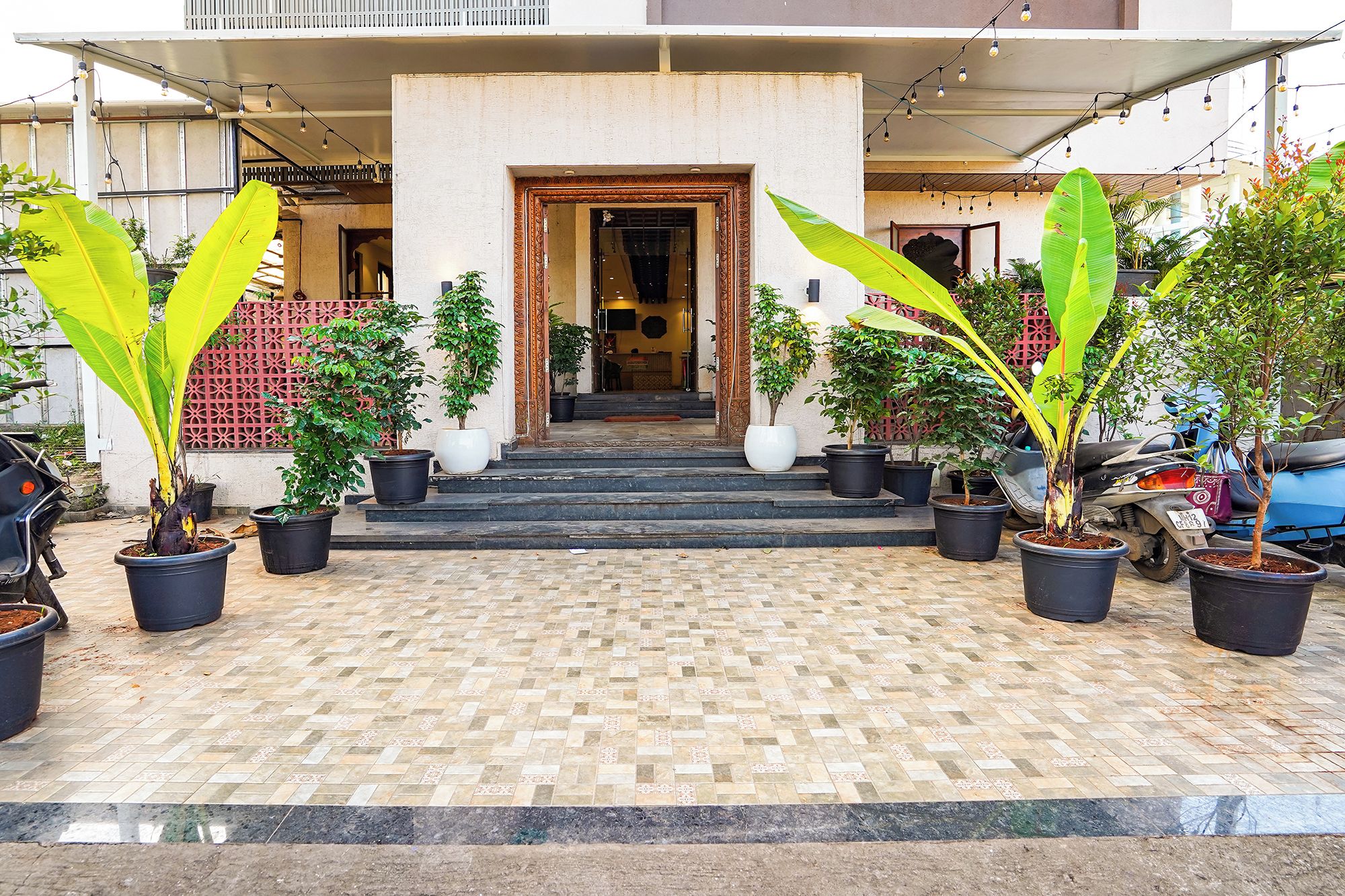 A building entrance with steps leading up to a door, surrounded by potted plants.