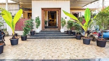 A building entrance with steps leading up to a door, surrounded by potted plants.
