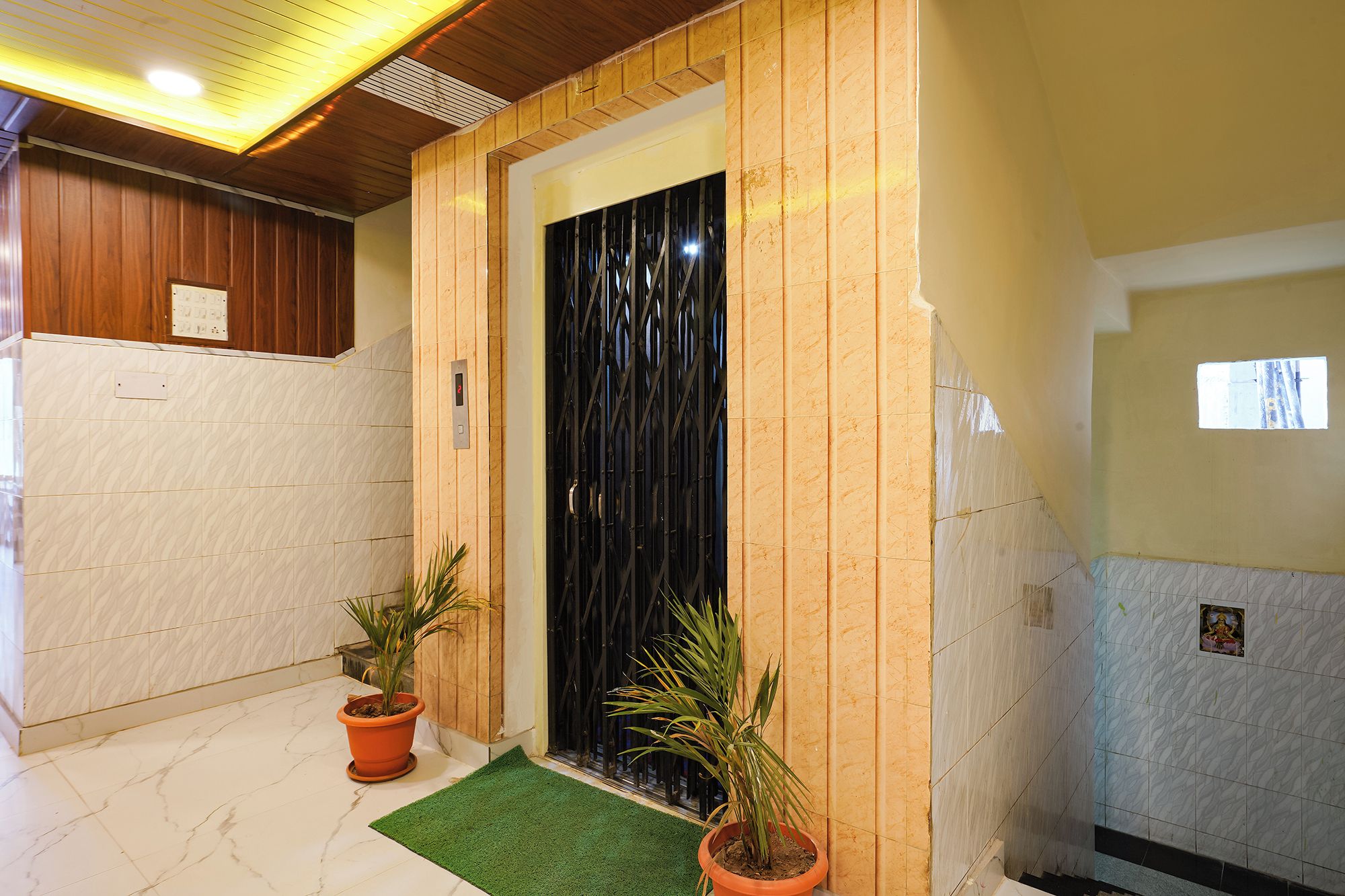 An interior hallway with a wooden door, a potted plant, and a green mat.