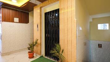 Um corredor interno com porta de madeira, planta em vaso e tapete verde.