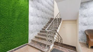 Una escalera con barandilla de metal, pared verde y una silla de mimbre.