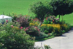 Eine ländliche Straße mit einem Garten an der Seite.
