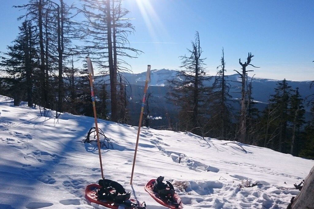 A snowy landscape with sleds and poles, surrounded by trees and mountains.