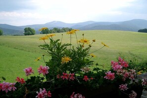 A field with flowers and a distant mountain range. - Holiday apartment with 1 bedroom (Lohberg)