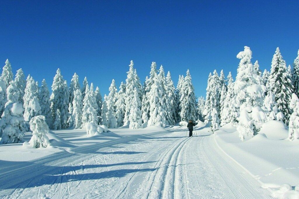 Schneebedeckte Landschaft mit blauem Himmel, einer Person beim Skifahren und verschneiten Bäumen.