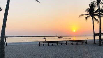 A beach with a wooden bench, palm trees, and boats on the water during sunset.
