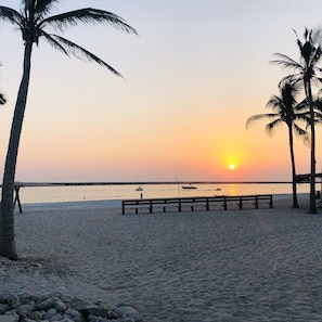 A beach with a wooden bench, palm trees, and boats on the water during sunset.