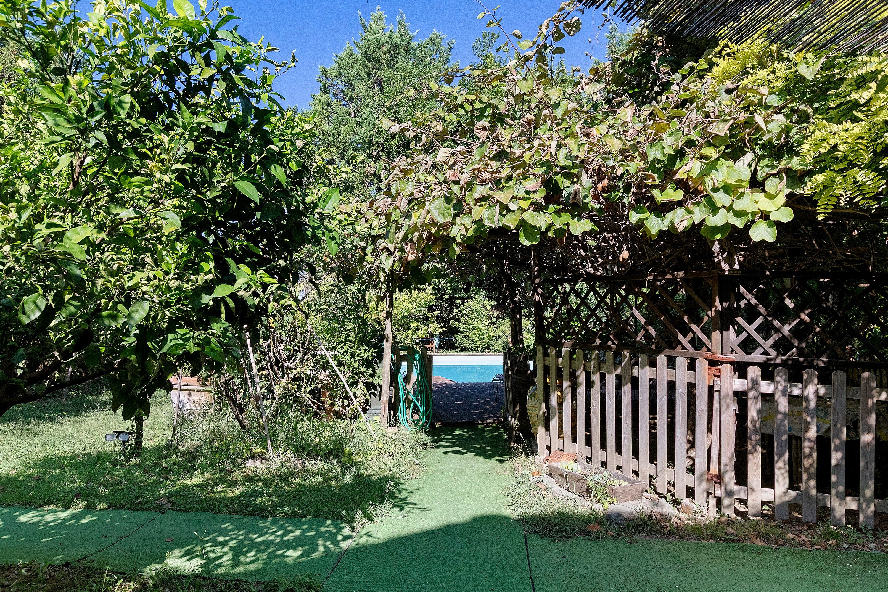 A garden with a wooden fence, a green pathway, and a pool area.