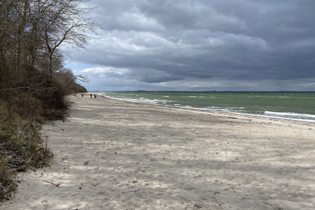 A sandy beach with a path leading to the water, surrounded by trees.