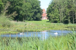 A pond with swans, surrounded by lush greenery and a large building in the background. - Crane view - happiness (Groß Schwansee)