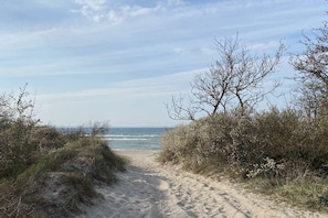 A sandy path leading to a beach with sparse vegetation on either side. - Crane view - happiness (Groß Schwansee)